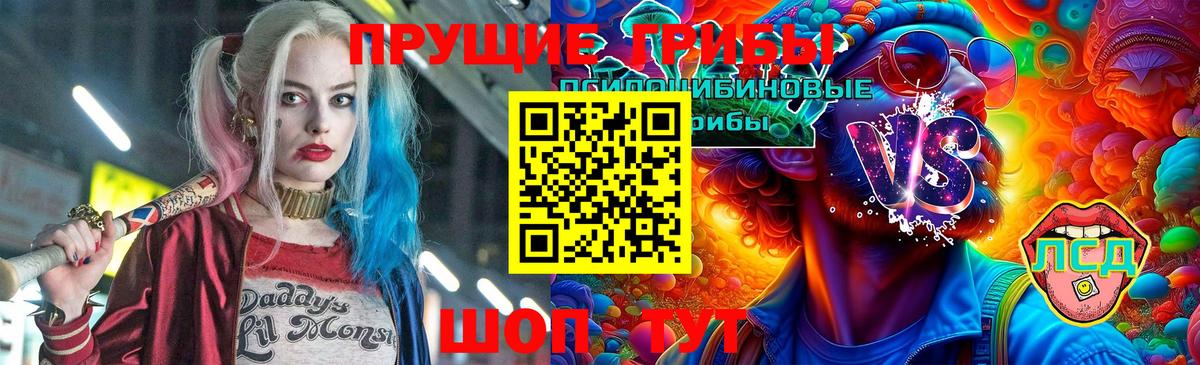 Севастополь  где можно купить наркотик  Вход с VPN  Псилоцибиновые грибы ЛСД 