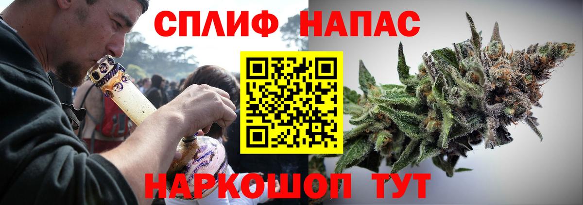Бошки марихуана сатива Севастополь